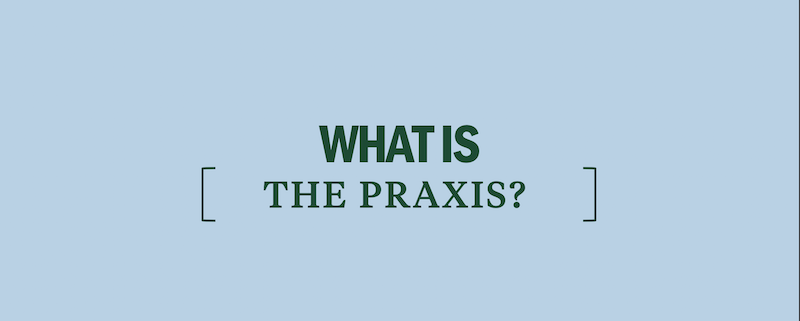 what-is-the-praxis-kaplan-test-prep