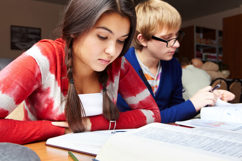 Prepare lessons. Prepare for the Lesson. You (prepare) your Lessons in the Library.